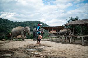 BIB: 
                            <button type="button" onclick="openModal(22424109)" class="btn btn-primary btn-sm float-right btn-popup" data-toggle="modal" data-target=".modal-high-quality">
                        <i class="fas fa-shopping-cart"></i> Add to Cart
                    </button>
                                            <button type="button" onclick="isThisMe(22424109, true)" class="btn btn-success btn-sm float-right btn-popup btn-isme hidden" data-toggle="tooltip" data-placement="bottom" title="นี่คือรูปของคุณใช่ไหม คลิกที่นี่เพื่อเอาเข้าอัลบั้ม">
                        <i class="fas fa-plus"></i> Add to album
                    </button>
                    <button type="button" onclick="isThisMe(22424109, false)" class="btn btn-warning btn-sm float-right btn-popup btn-isnotme hidden">
                        <i class="fas fa-ban"></i> Remove from album
                    </button>